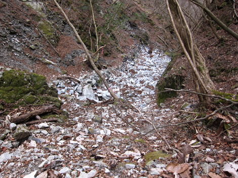 20200110hike (355)